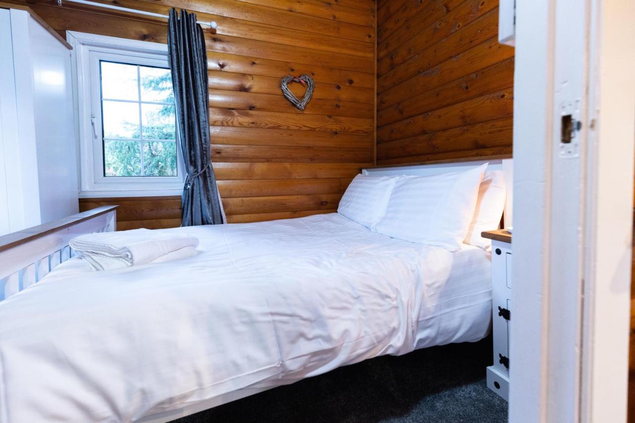 Mountain View Log Cabin In Snowdonia Nr Coed Y Brenin Tanygrisiau 外观 照片