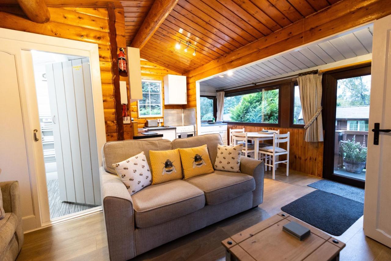 Mountain View Log Cabin In Snowdonia Nr Coed Y Brenin Tanygrisiau 外观 照片