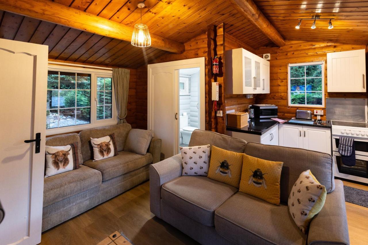 Mountain View Log Cabin In Snowdonia Nr Coed Y Brenin Tanygrisiau 外观 照片