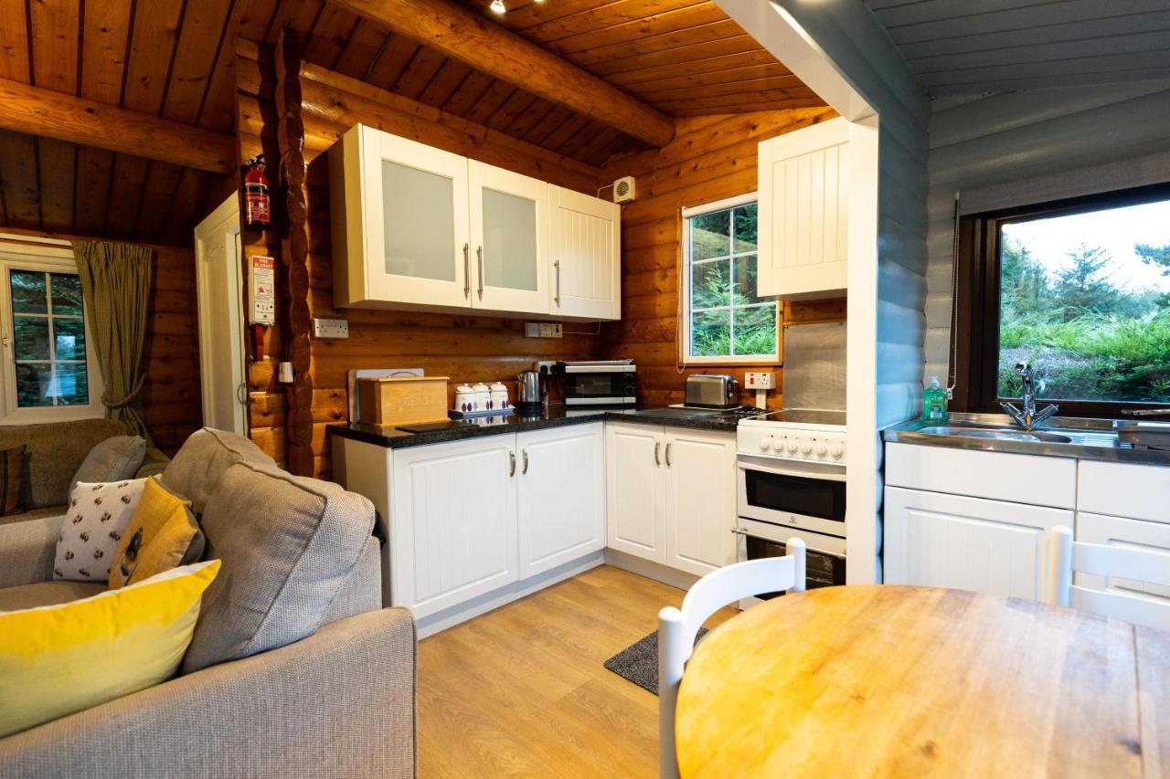 Mountain View Log Cabin In Snowdonia Nr Coed Y Brenin Tanygrisiau 外观 照片